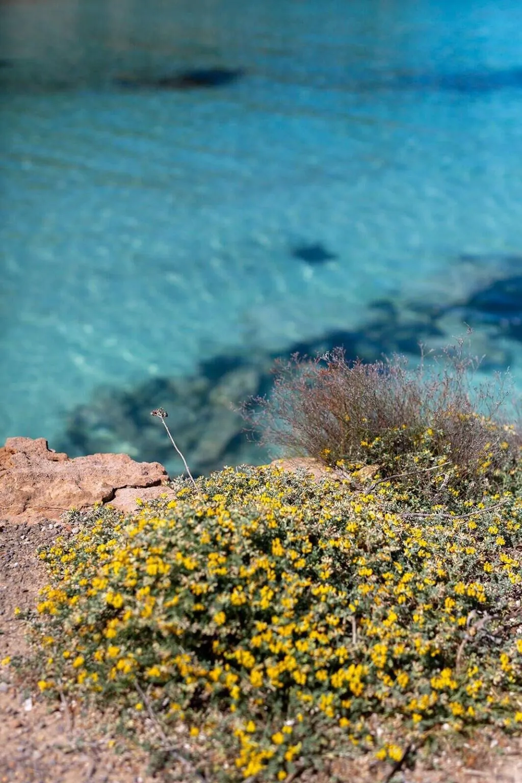 General view, Hostal La Cigüeña, Ibiza