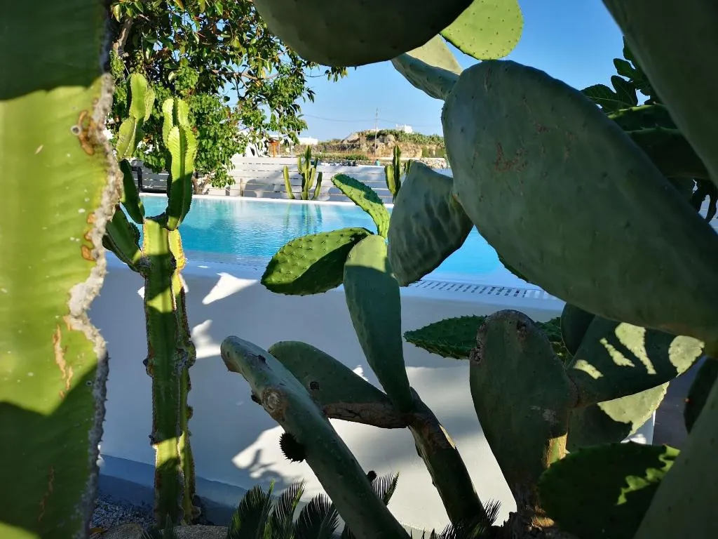 Sports and Entertainment, La Stella Stay, Mykonos