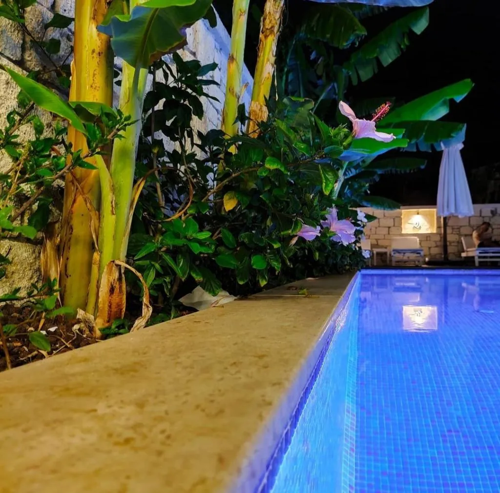 Pool, Villa Peri Butik Otel, Izmir