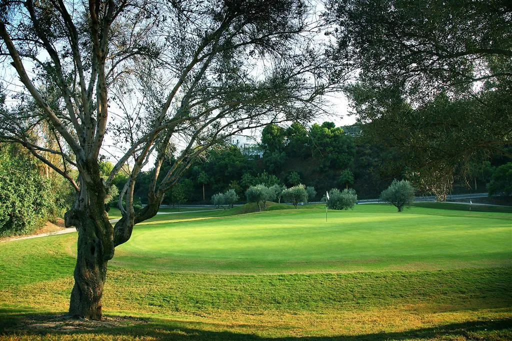 General view, Westin La Quinta Golf Resort & Spa, Costa Del Sol