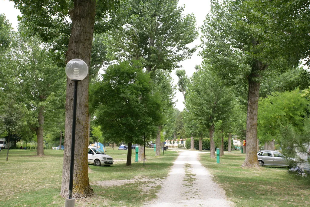 General view, Camping Tiber, Rome