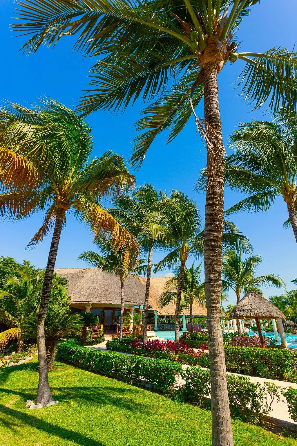 General view, Family Selection At Grand Palladium Kantenah, Cancun Area
