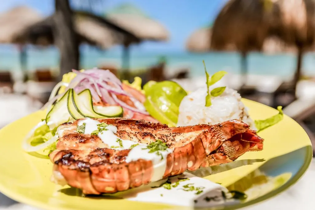 Restaurant, Zomay Beachfront Holbox, Cancun Area