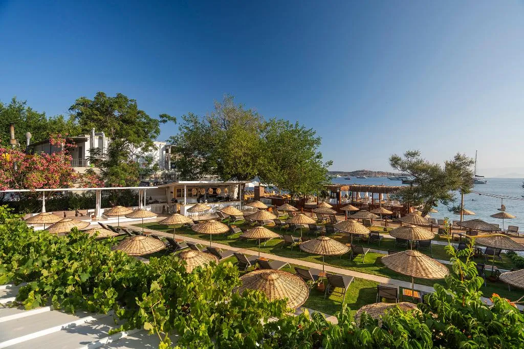 Terrace, Daphnis Hotel, Bodrum