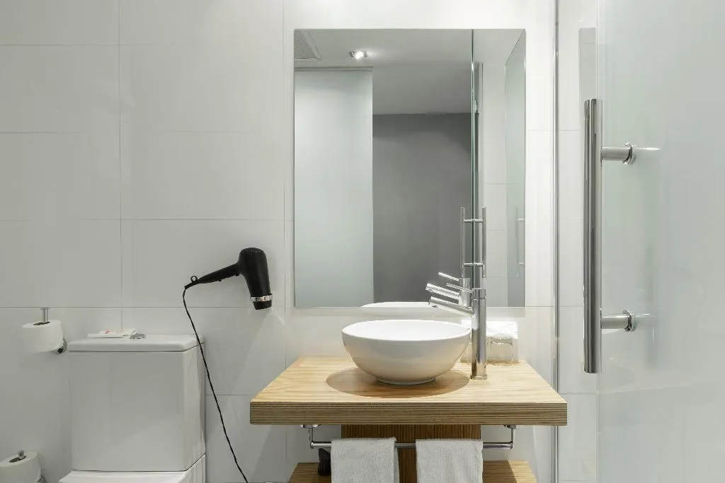 DOUBLE SINGLE USE STANDARD Room, Petit Palace Tres Cruces Spain, Madrid