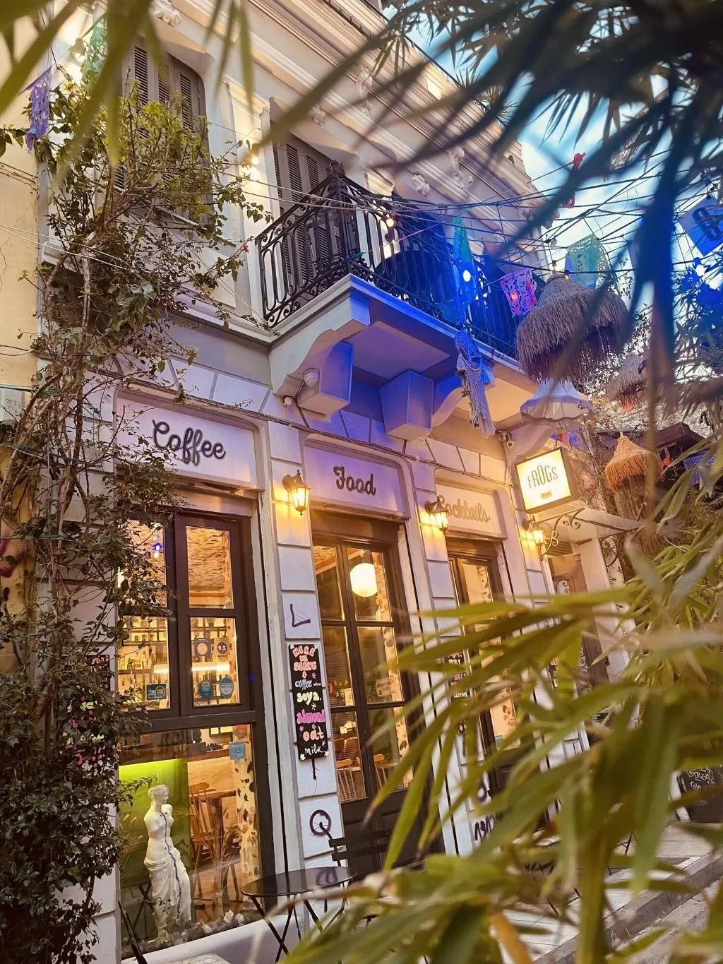 General view, The Frogs Guesthouse, Athens
