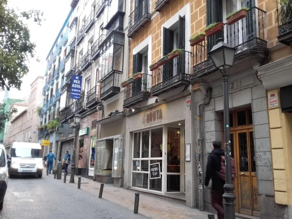 General view, Hostal Del Pez Azul, Madrid