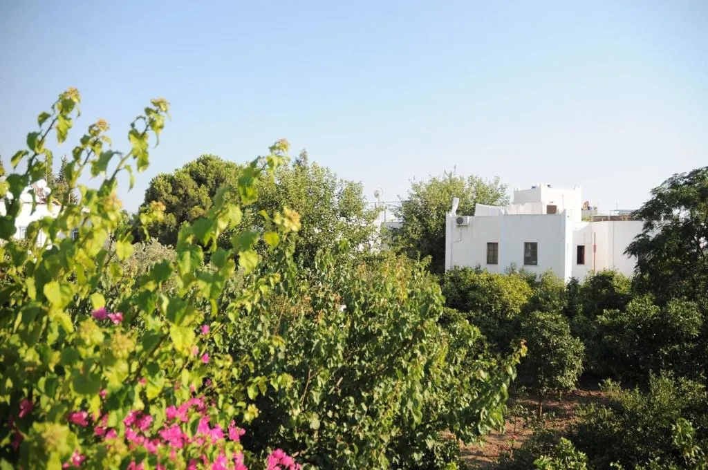 General view, Gulec, Bodrum