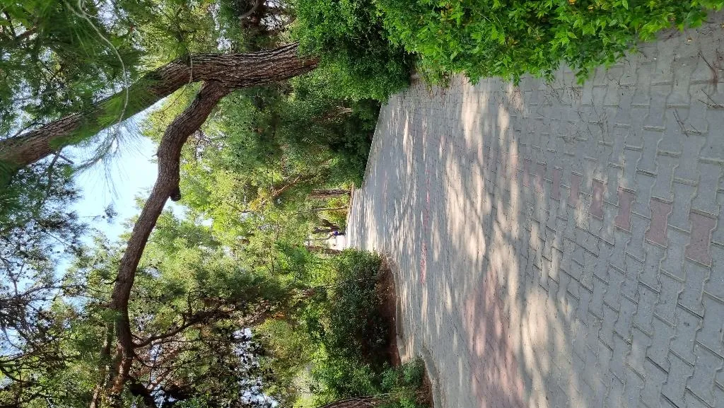 Beach, Jadore Deluxe Hotel & Spa, Antalya