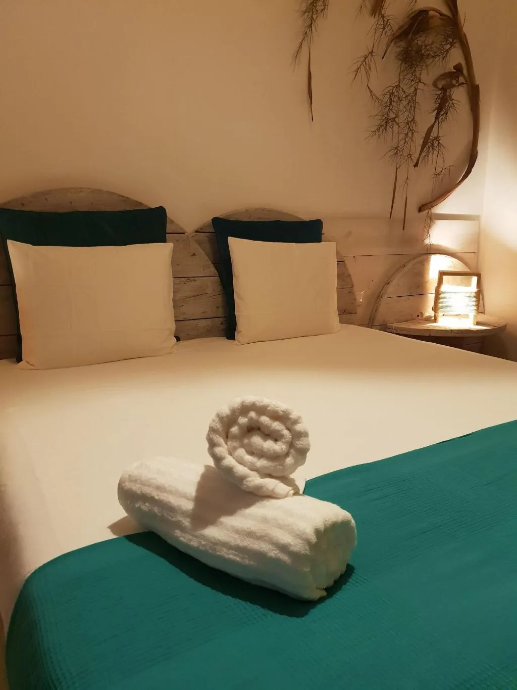 Room, Cactus Host, Gran Canaria