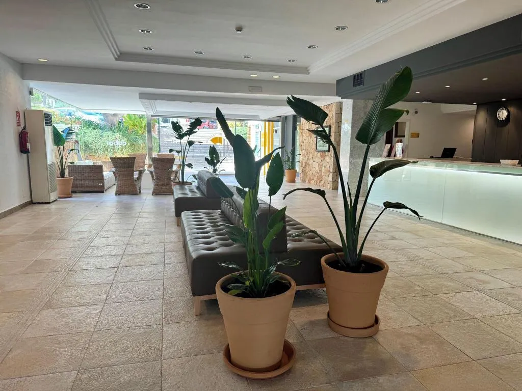 Lobby, Cala Ferrera, Majorca