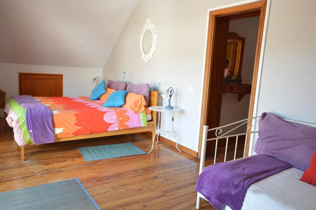 Room, Alta Montaña, Tenerife