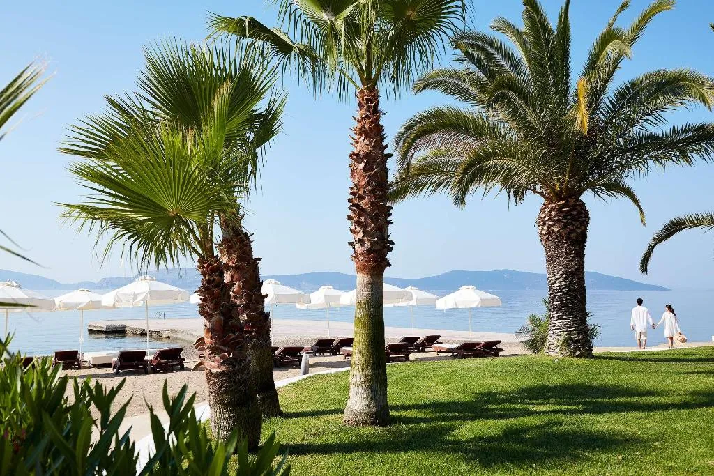 Beach, Hydra Beach Resort, Athens
