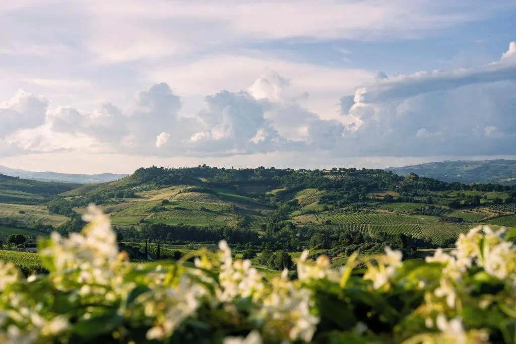 General view, Altarocca Wine Resort, Perugia