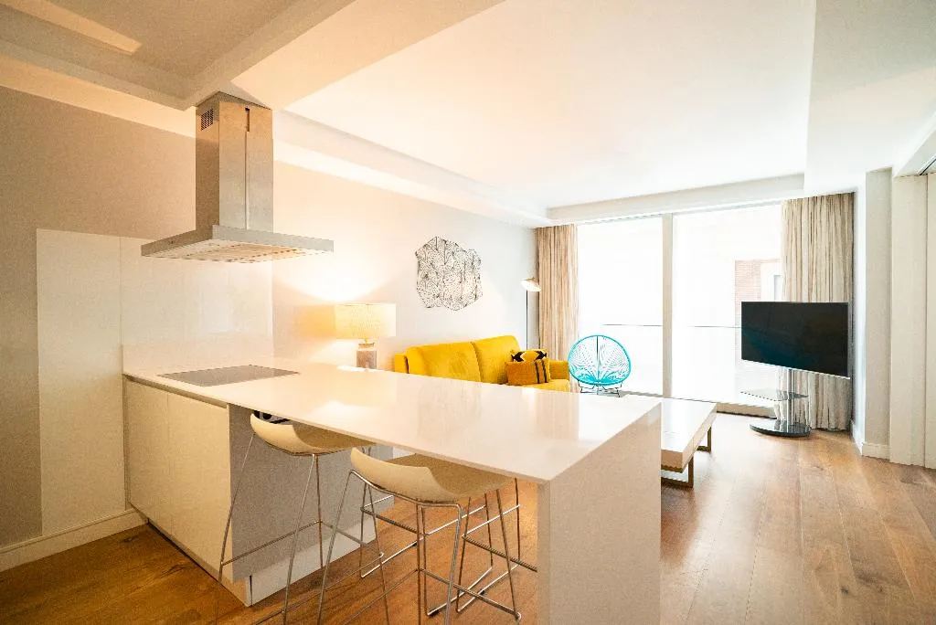 APARTMENT ONE BEDROOM Room, Gran Via Centric II, Madrid