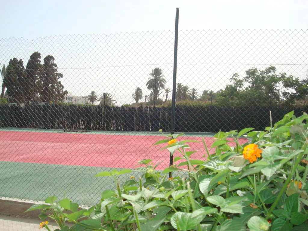 Sports and Entertainment, Les Palmiers, Tunisia
