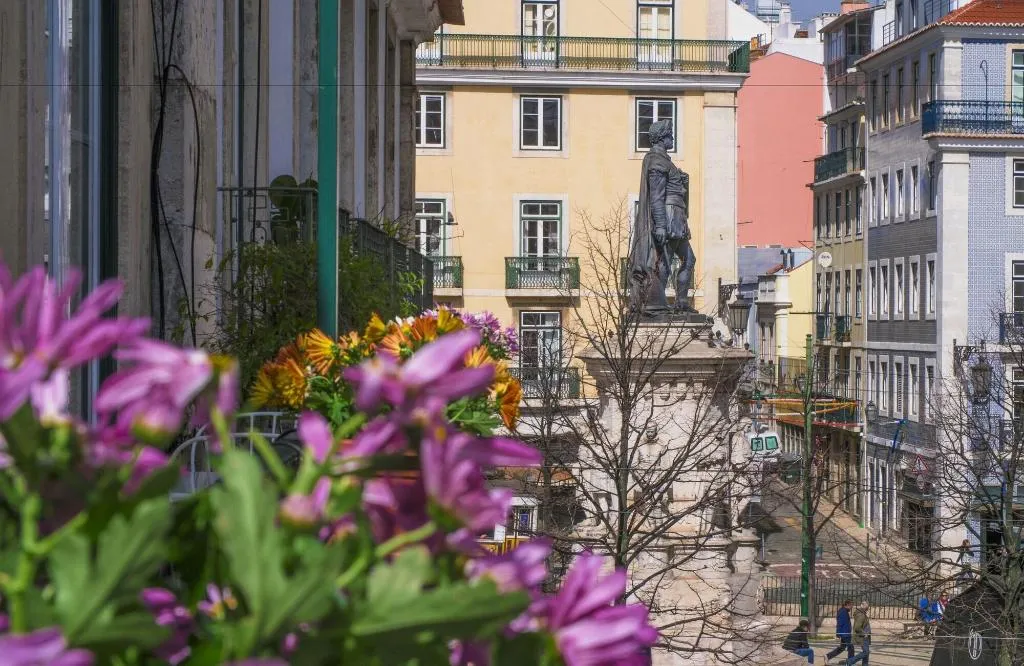 General view, Casinha Das Flores, Lisbon
