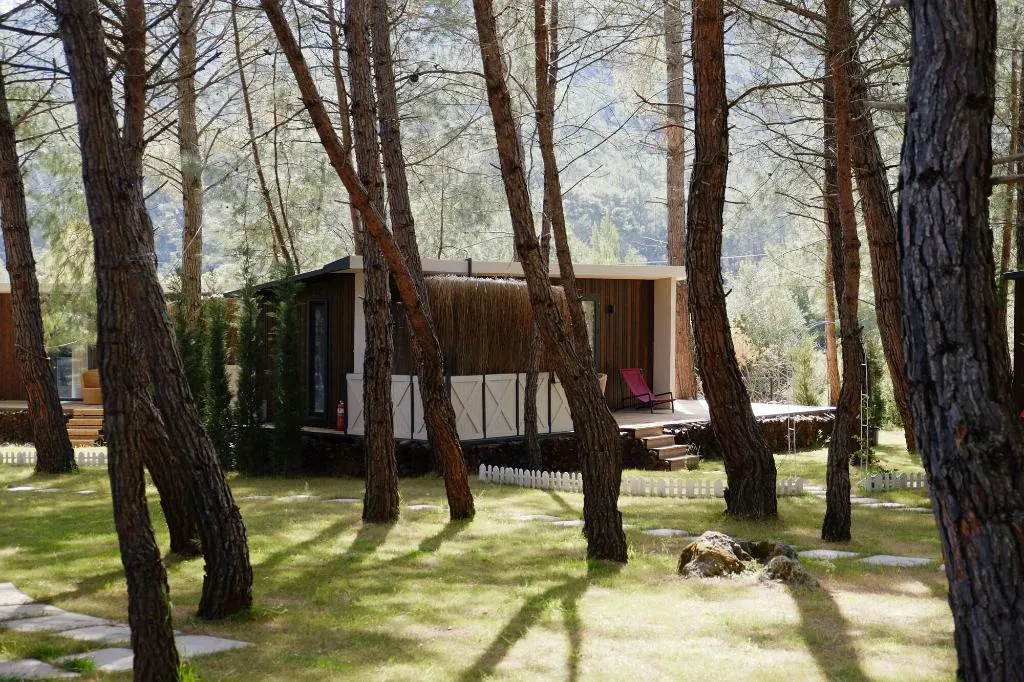 Room, Mossa Afkule Kayakoy, Dalaman