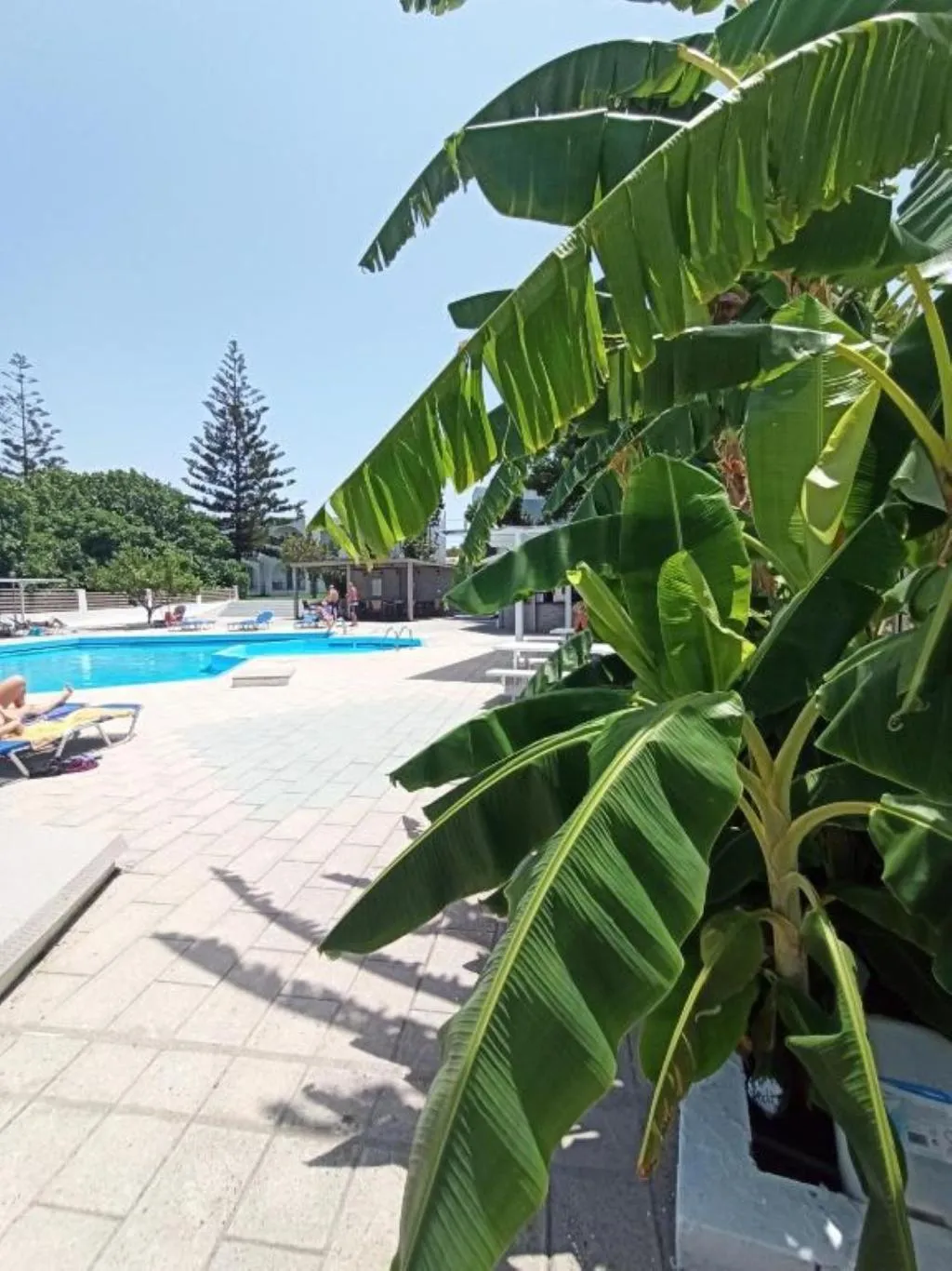 Pool, Summer Dream Hotel, Rhodes