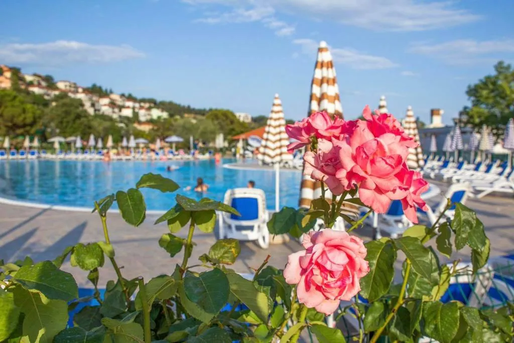 Pool, Hotel Hedera, Istria