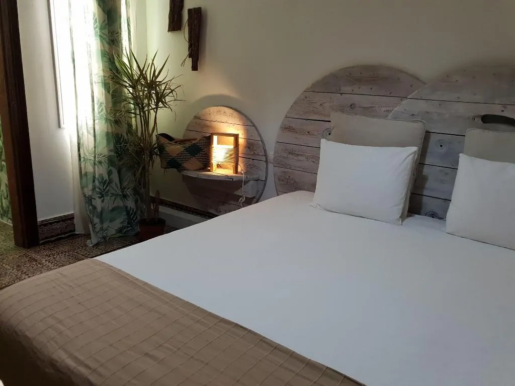 Room, Cactus Host, Gran Canaria