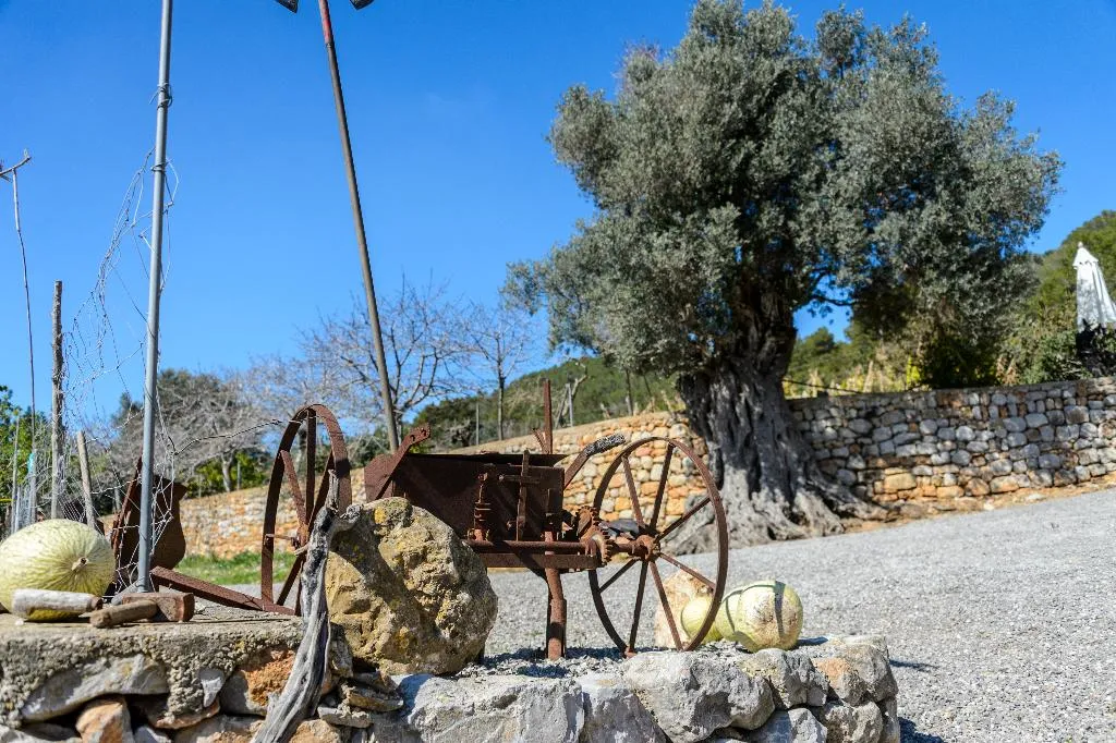General view, Agroturismo Can Prats, Ibiza