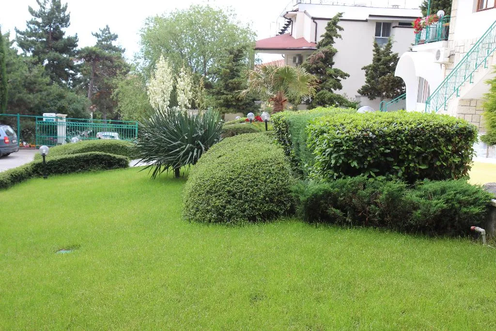 Terrace, Zora, Bourgas