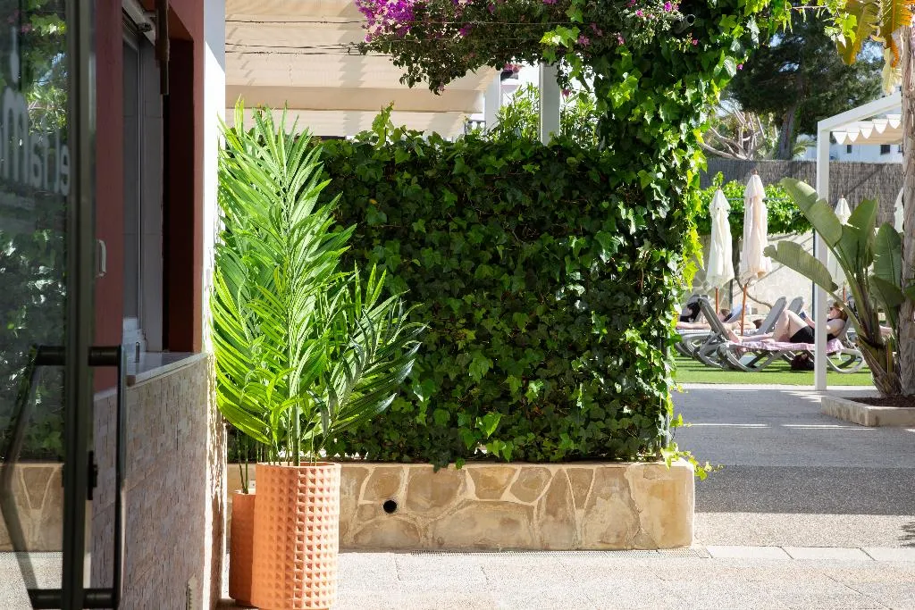 Terrace, Casual Bahia Ibiza, Ibiza