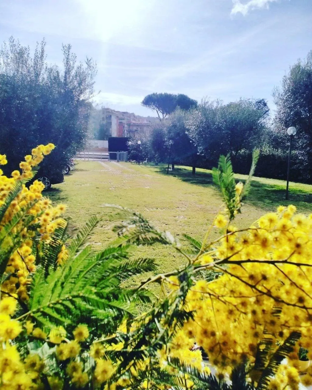 General view, B&B o'Chalet, Naples