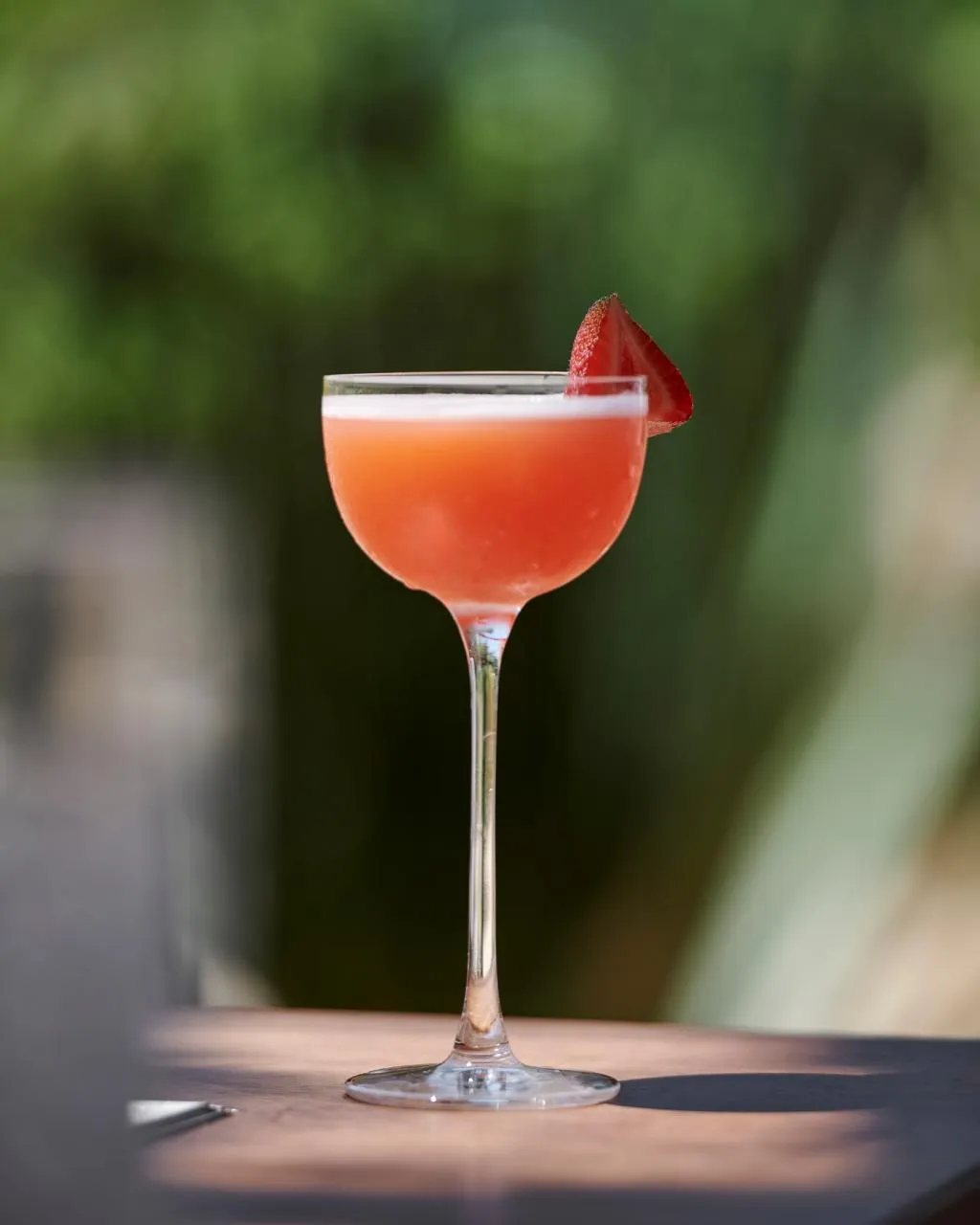 Bar, Maxx Royal Bodrum, Bodrum