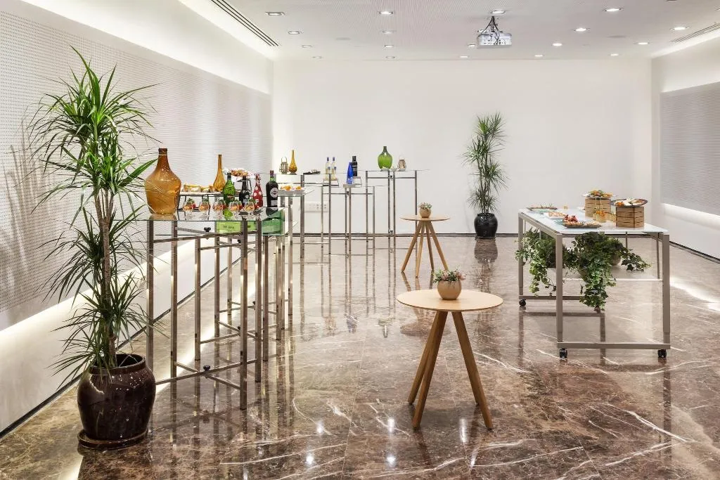 Conferences, Melia Sevilla, Seville