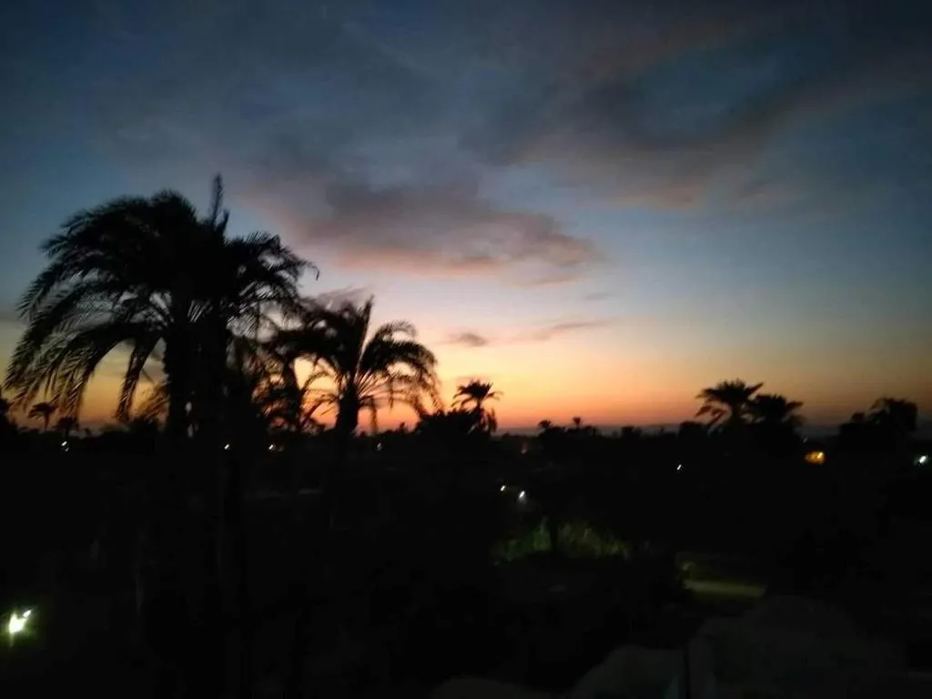 Terrace, Nile Compound Hotel, Luxor