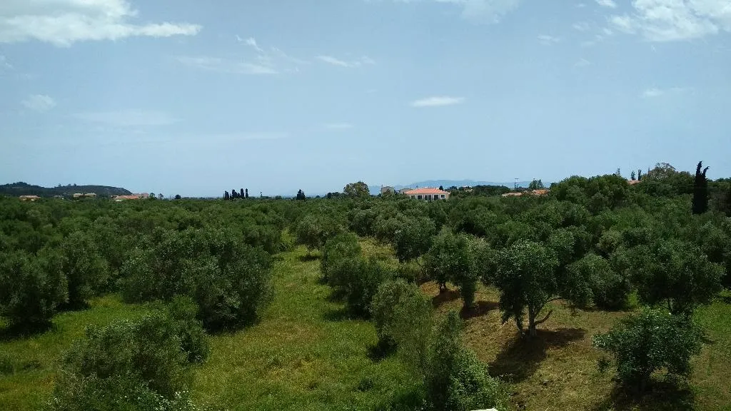 General view, Casa De Rosa Studios & Apartments, Kefallinia