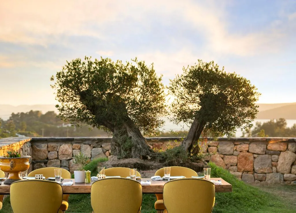 Restaurant, Lujo Art &Joy, Bodrum