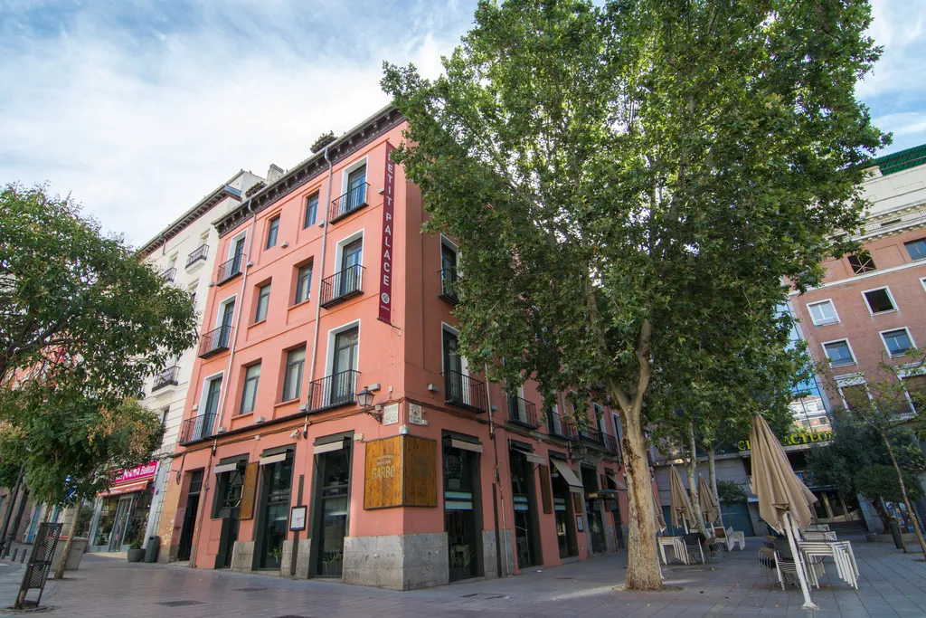 General view, Petit Palace Plaza del Carmen, Madrid