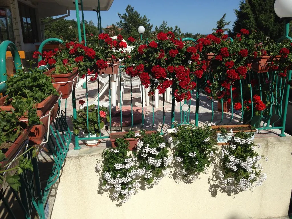 Restaurant, Zora, Bourgas