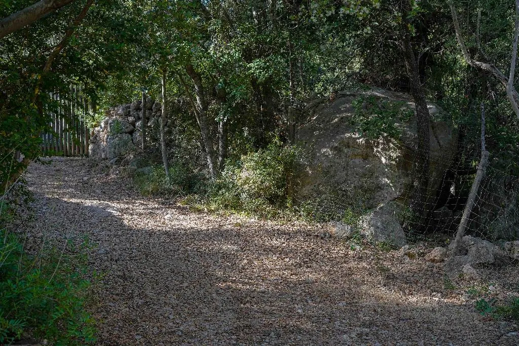 Sports and Entertainment, Hotel Rural S'Olivaret, Majorca