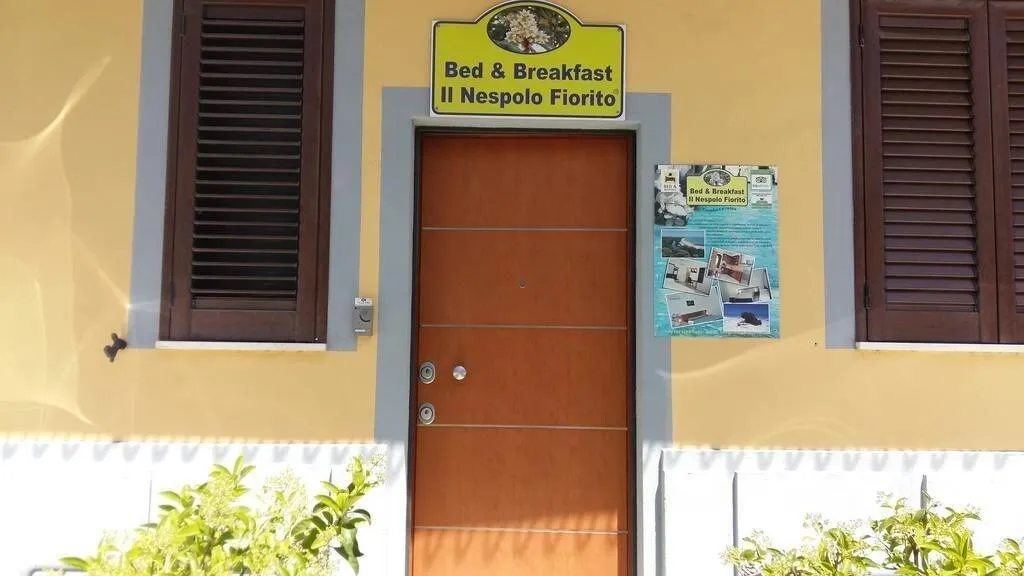 Lobby, Il Nespolo Fiorito, Olbia