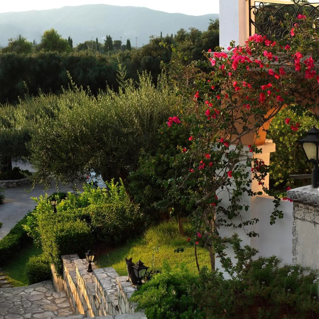 Terrace, Nefeli, Corfu