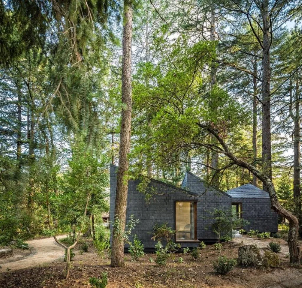 BUNGALOW STANDARD Room, Pedras Salgadas Nature & Spa Park, Porto