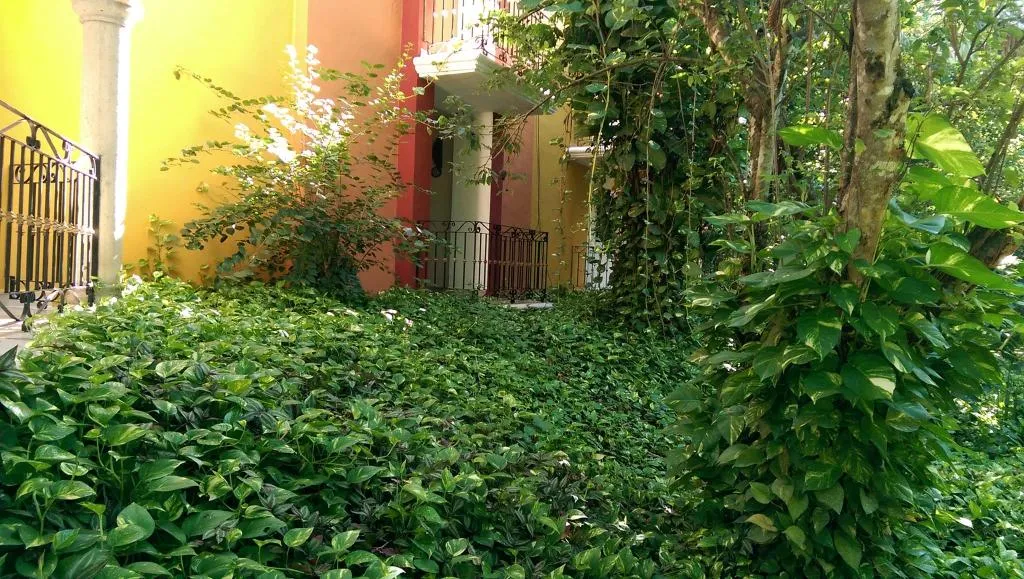 Terrace, Ecotel Quinta Regia, Cancun Area