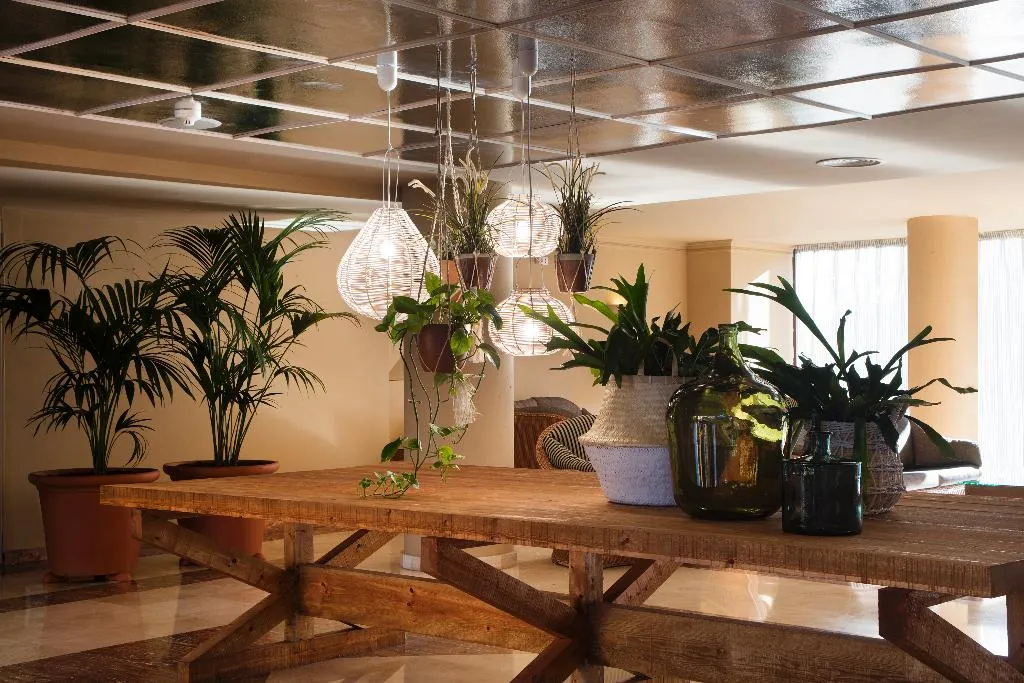 Lobby, Luna Club Hotel Yoga & Spa, Costa Brava