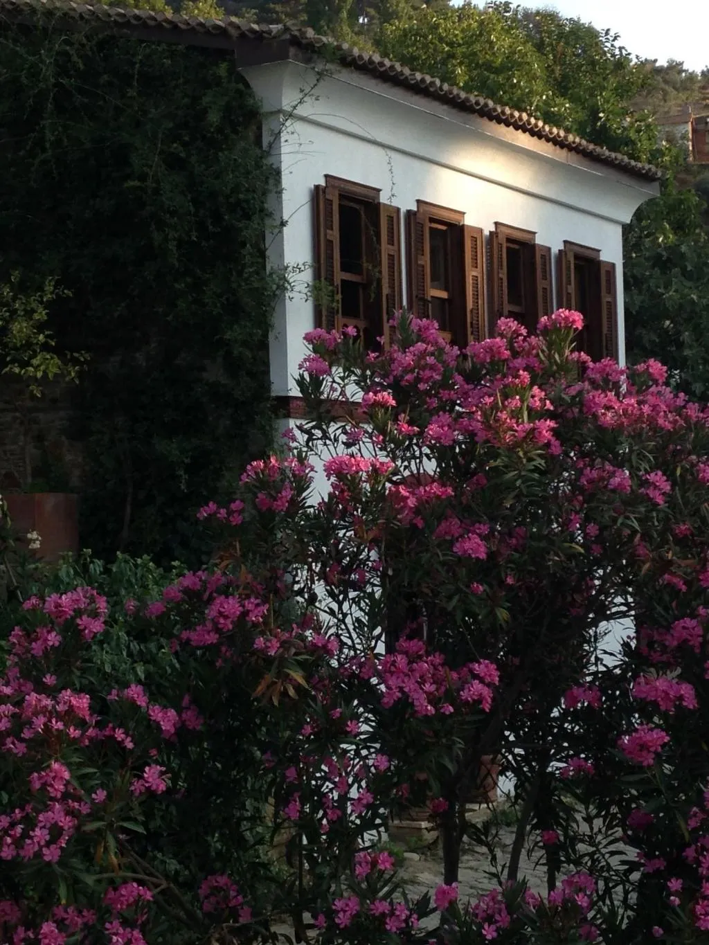 Room, Terrace Houses Sirince - Fig, Olive and Grapevine, Izmir
