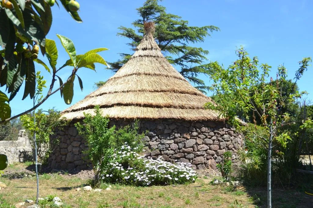 Room, B&B Antica Botte Sassari, Alghero