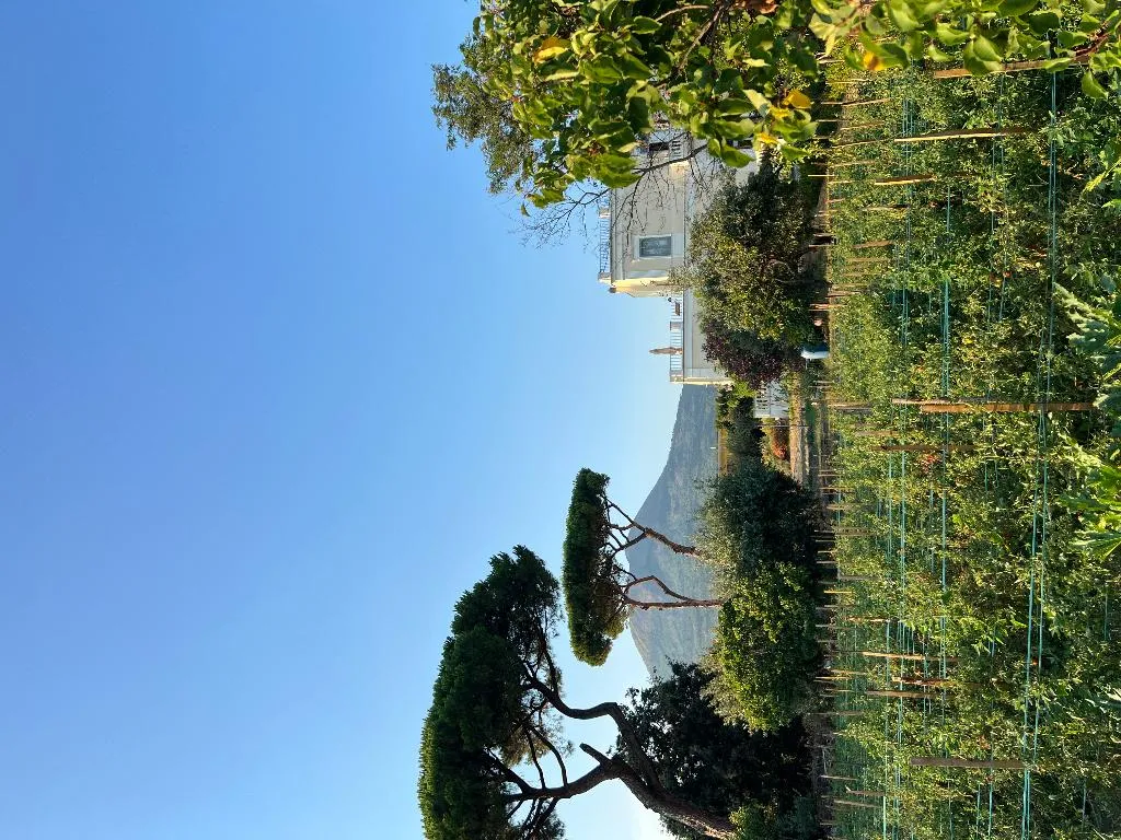 General view, Villa De Cillis Carafa, Naples
