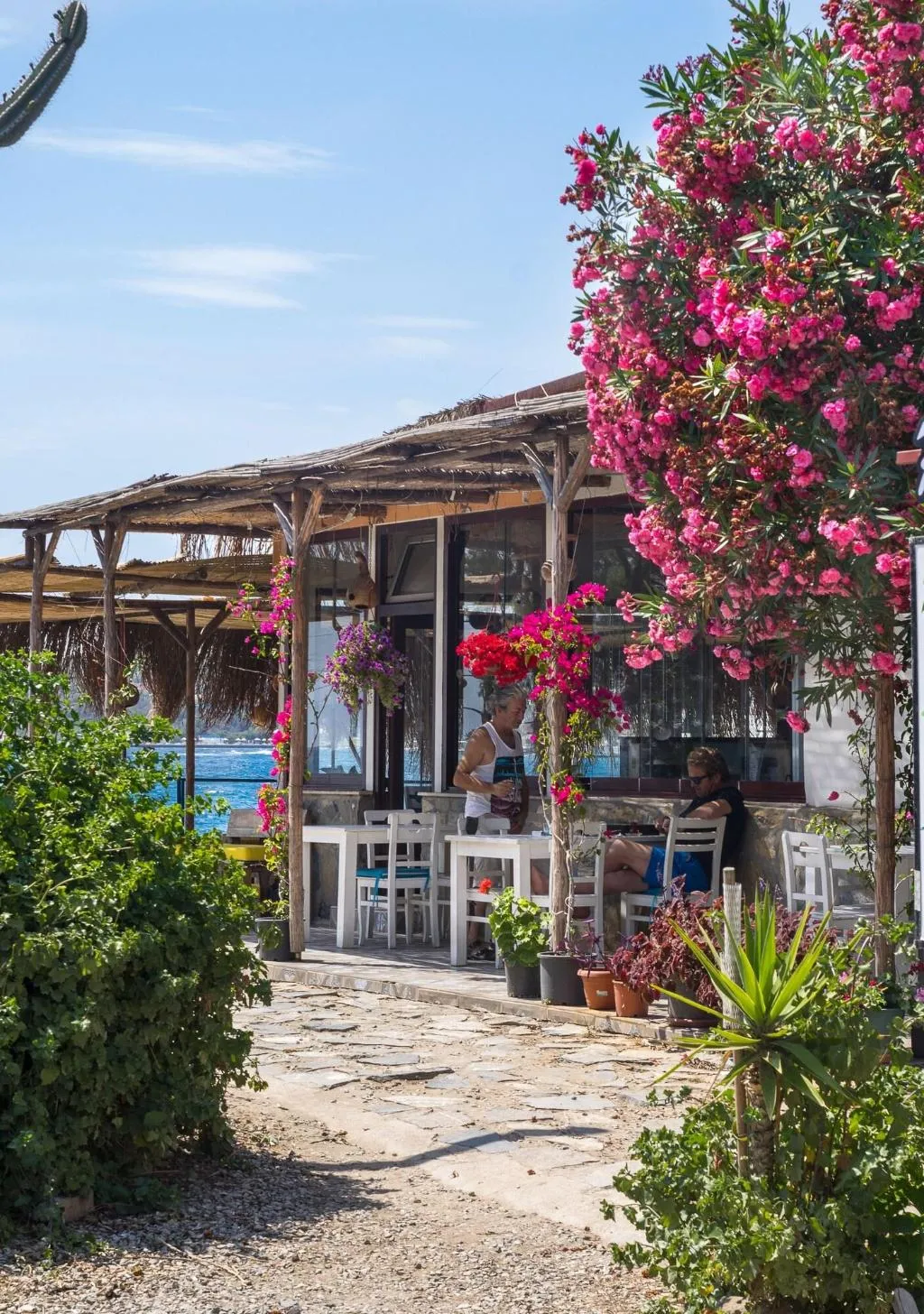 General view, Pitos Bungalows, Bodrum