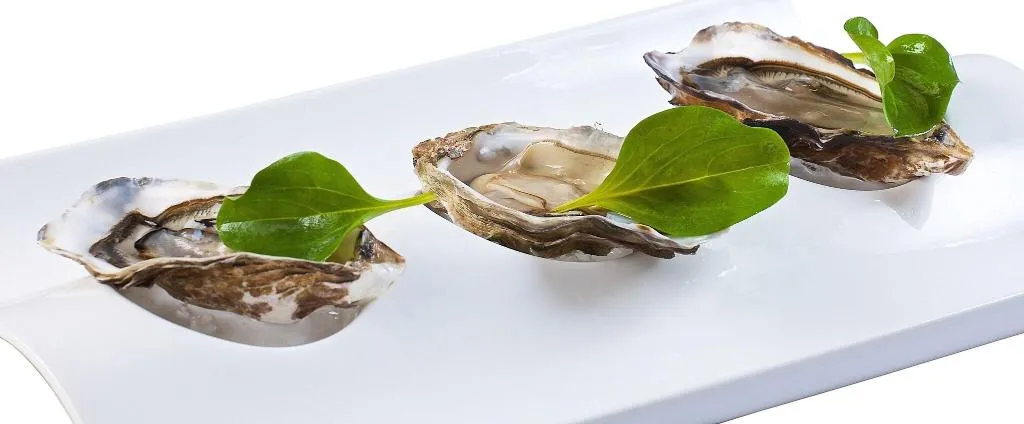 Restaurant, Luxury boutique hotel Villa Vulin, Istria