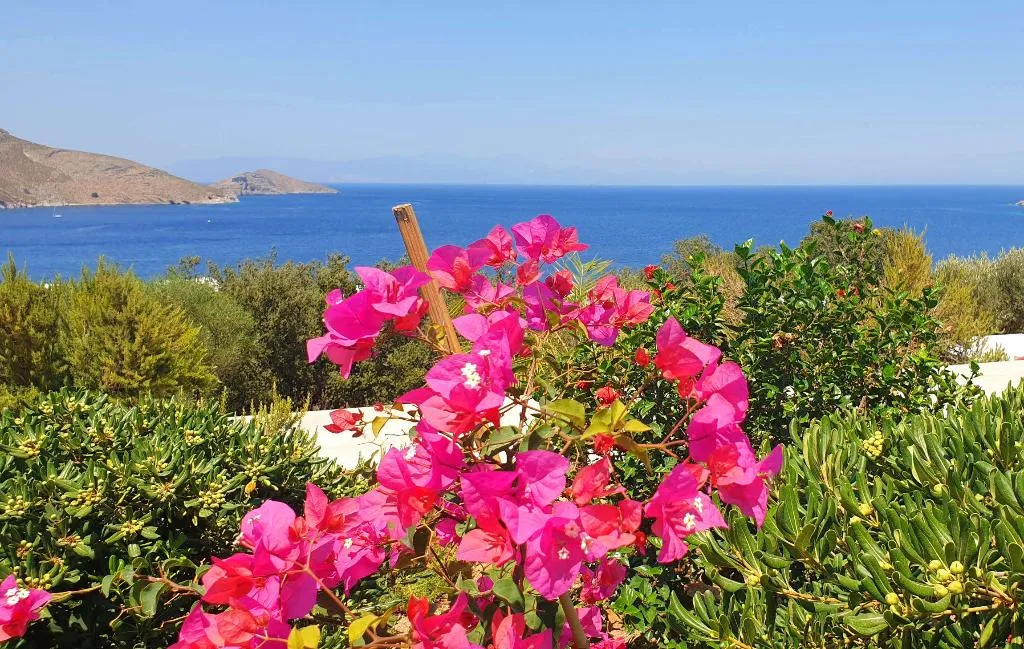 General view, Tilos Villa, Rhodes