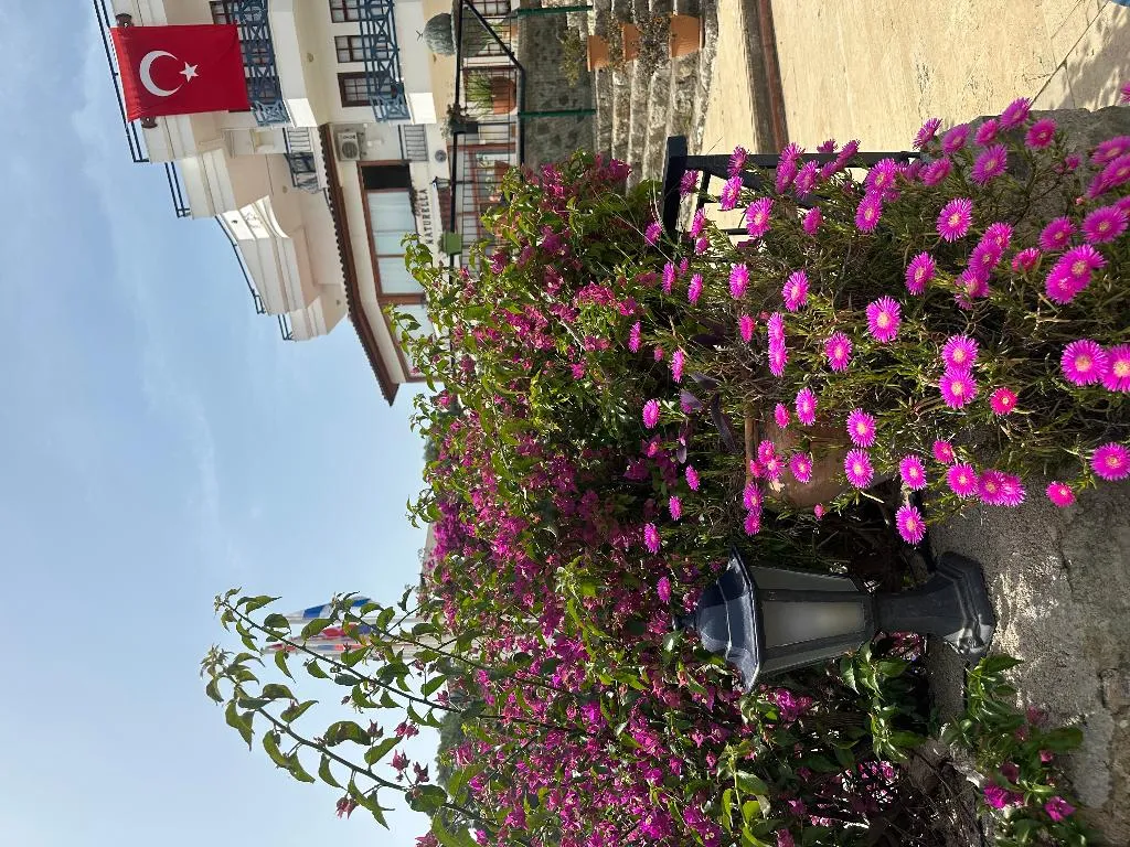 Sports and Entertainment, Naturella Hotel, Antalya