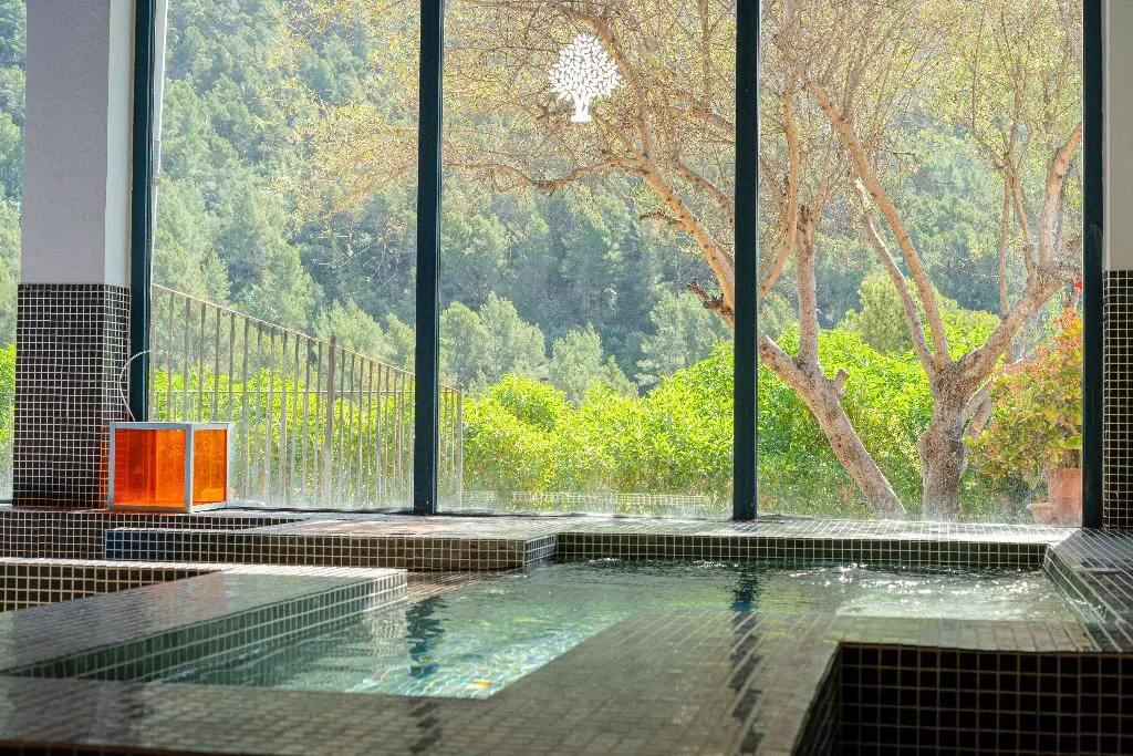 Pool, Hotel Rural S'Olivaret, Majorca